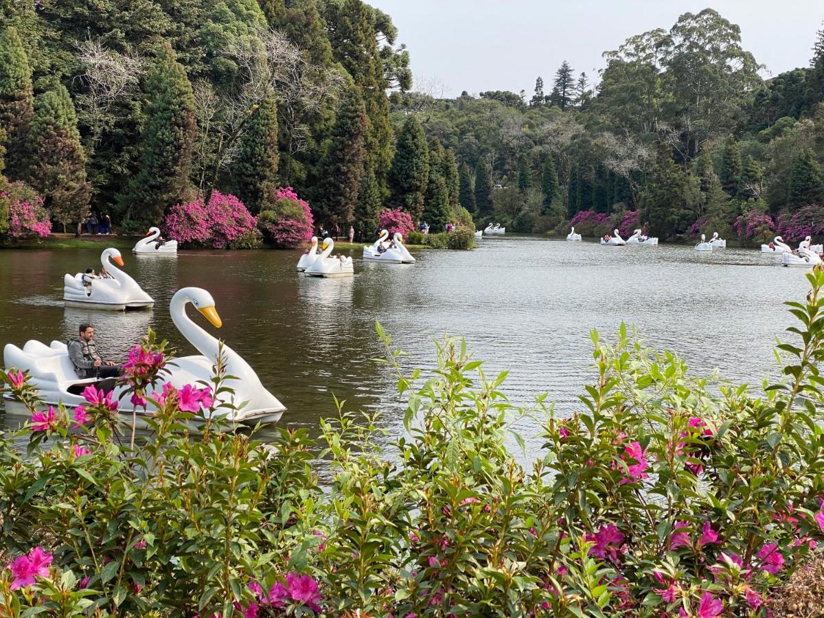 2 Suite, 1 Dormitorio Em Meio A Mata Araucaria A 1,5 Km Centro, Altos De Gramado Dış mekan fotoğraf