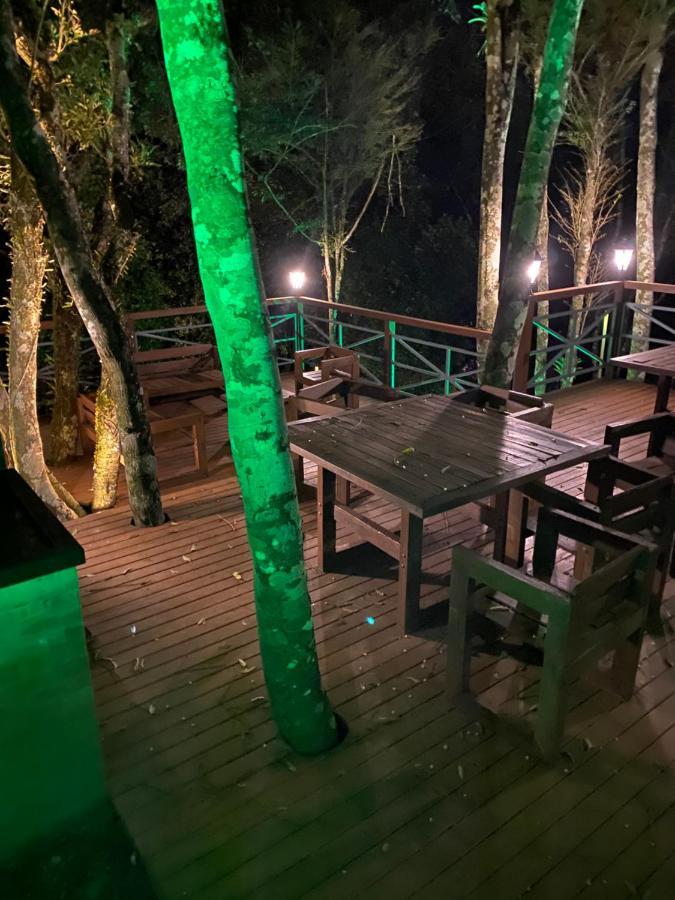 2 Suite, 1 Dormitorio Em Meio A Mata Araucaria A 1,5 Km Centro, Altos De Gramado Dış mekan fotoğraf