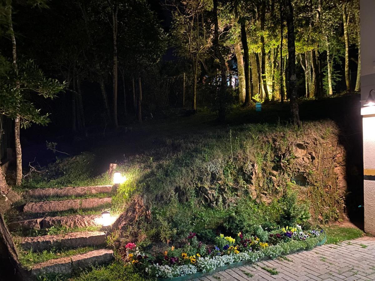 2 Suite, 1 Dormitorio Em Meio A Mata Araucaria A 1,5 Km Centro, Altos De Gramado Dış mekan fotoğraf